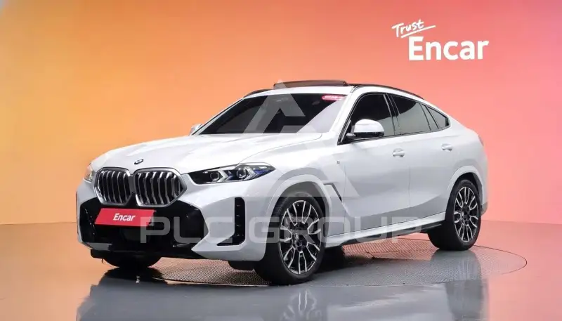 2024 BMW X6