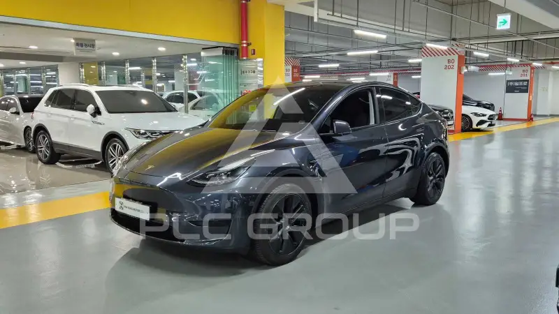 2024 Tesla Model Y