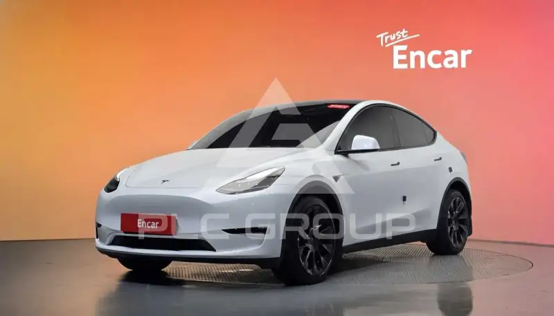 2024 Tesla Model Y