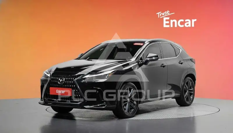 2024 Lexus NX