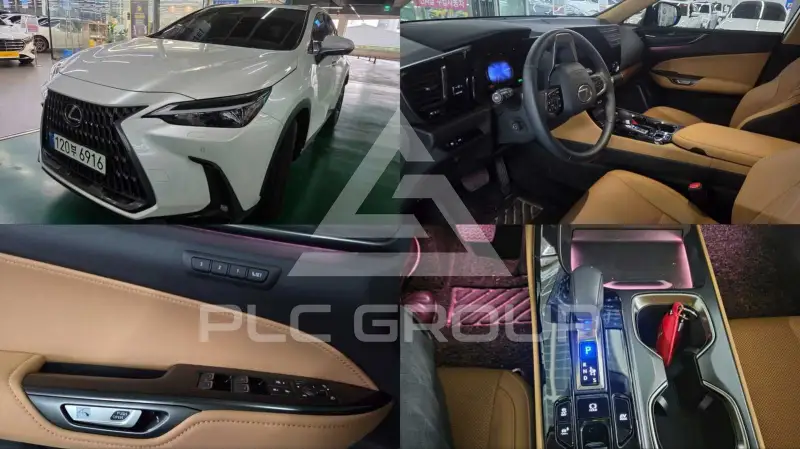 2024 Lexus NX