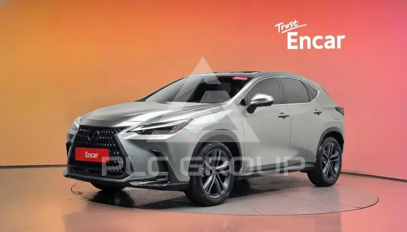 2024 Lexus NX