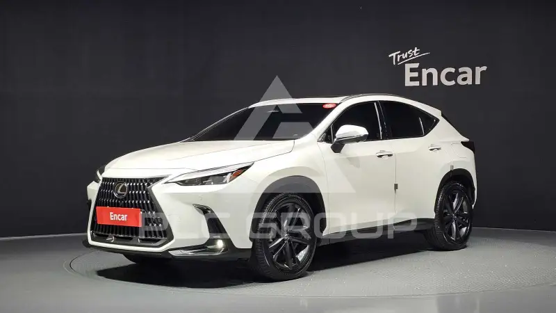 2024 Lexus NX