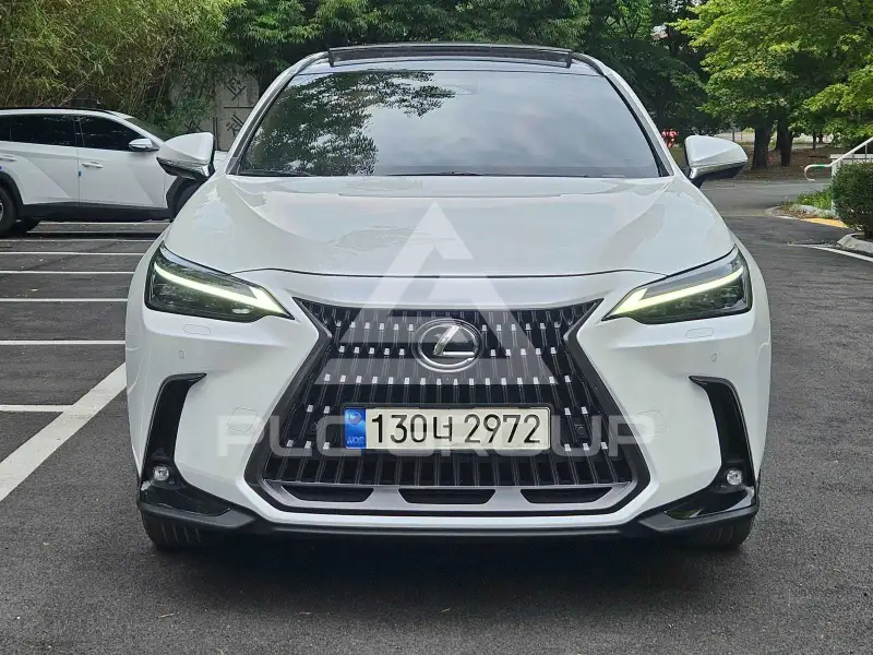 2024 Lexus NX