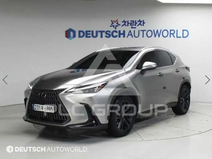 2024 Lexus NX