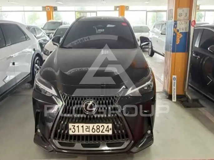 2024 Lexus NX