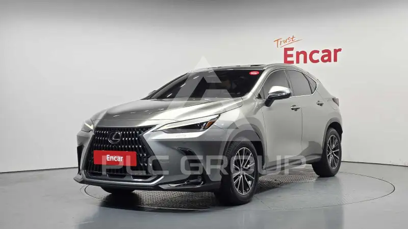 2024 Lexus NX
