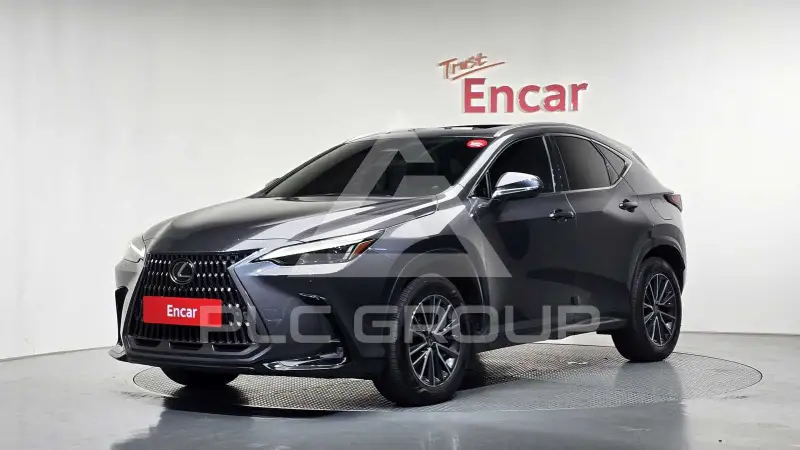 2024 Lexus NX