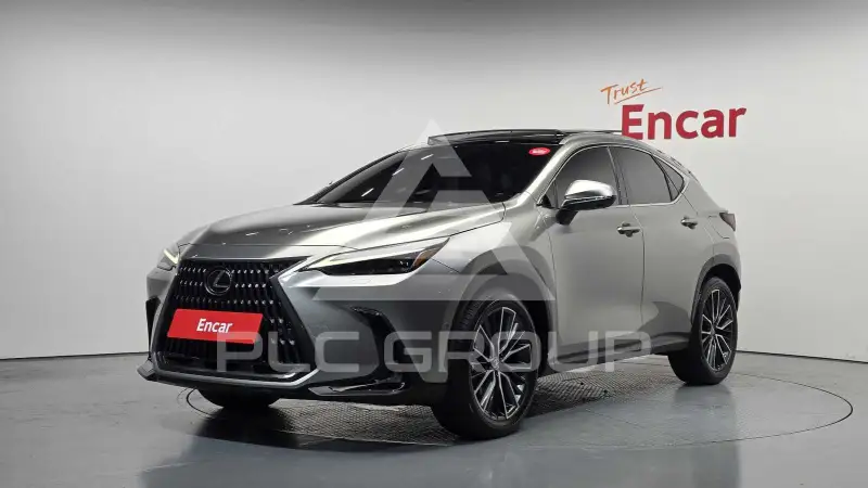 2024 Lexus NX