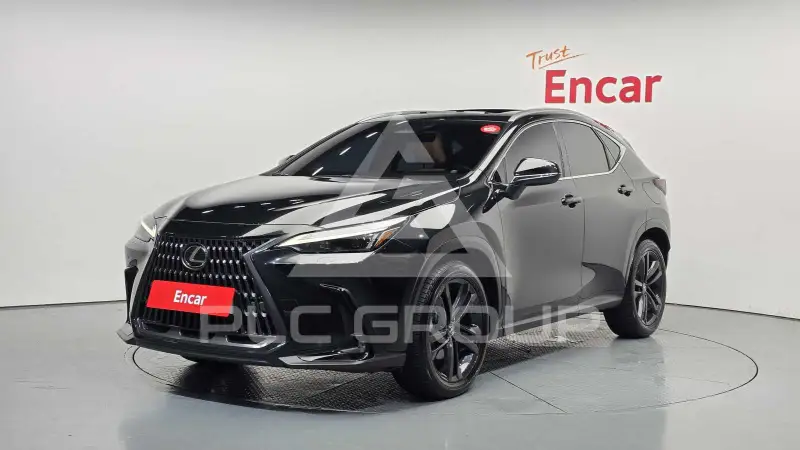 2024 Lexus NX