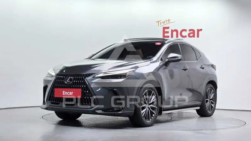 2024 Lexus NX