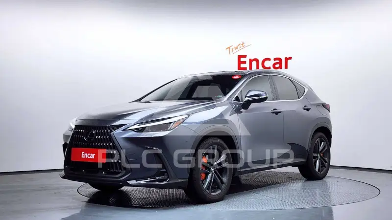 2024 Lexus NX
