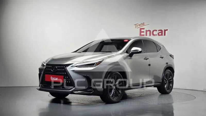 2024 Lexus NX