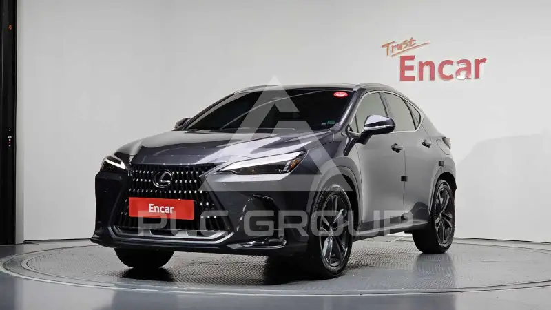 2024 Lexus NX