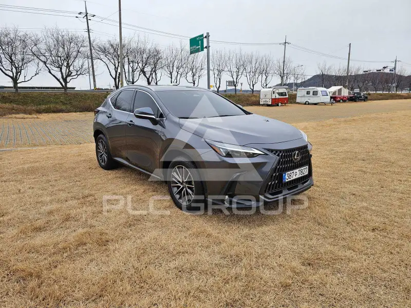 2024 Lexus NX