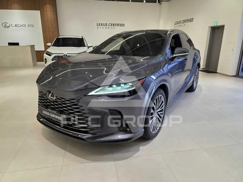 2024 Lexus RX