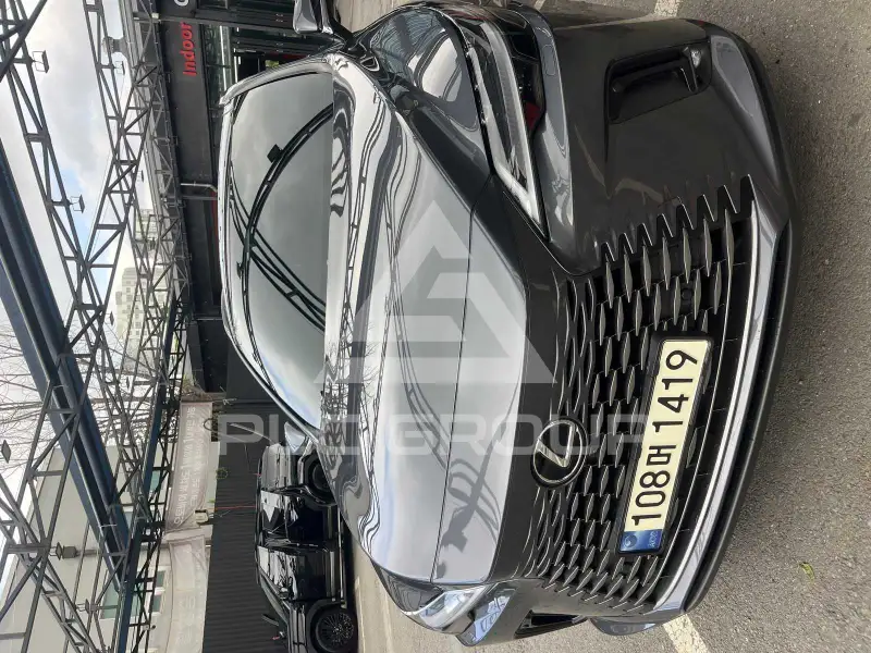 2024 Lexus RX