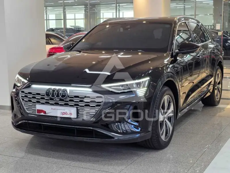 2024 Audi Q8