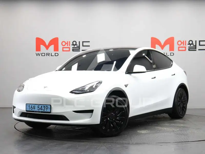 2024 Tesla Model Y