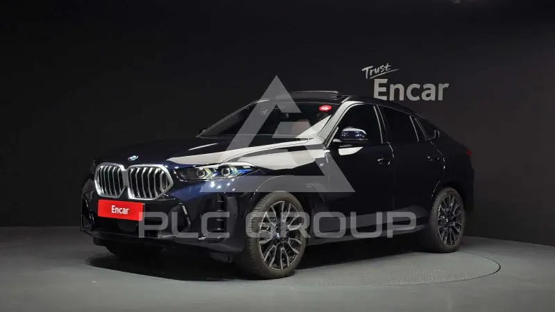 2025 BMW X6M
