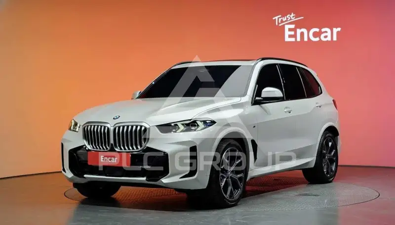 2025 BMW X5M