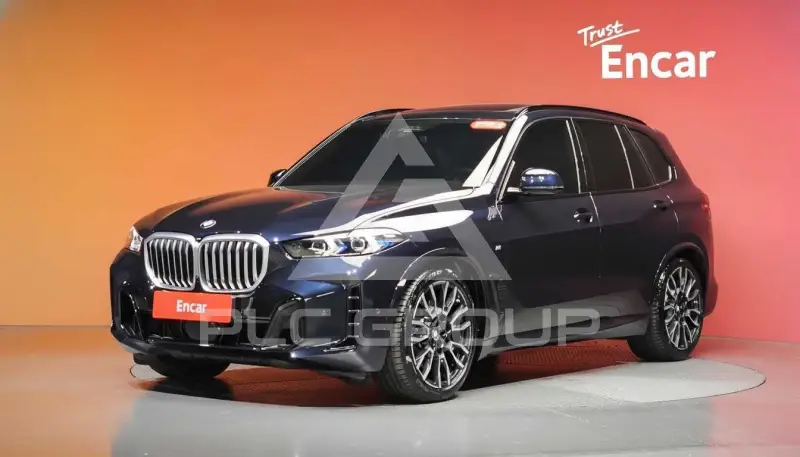 2025 BMW X5M