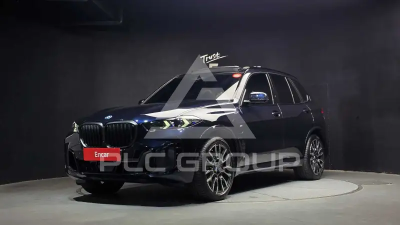 2025 BMW X5M