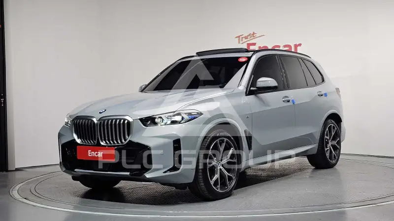 2025 BMW X5M