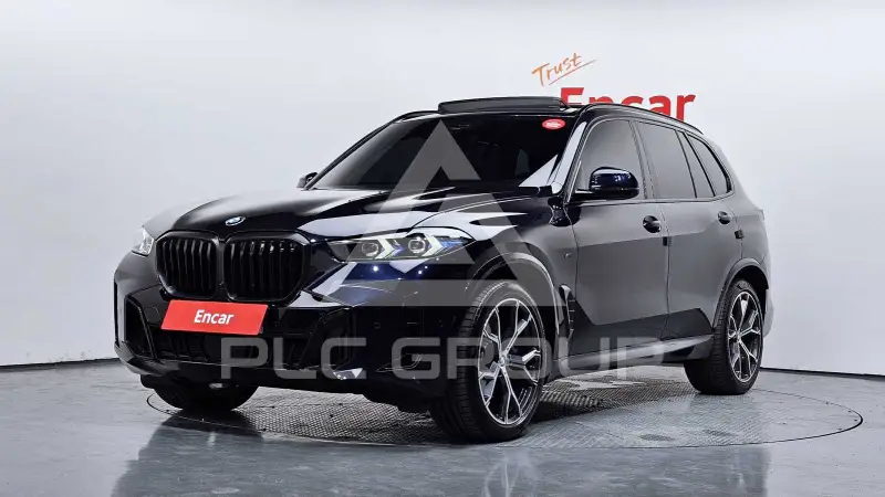 2025 BMW X5M