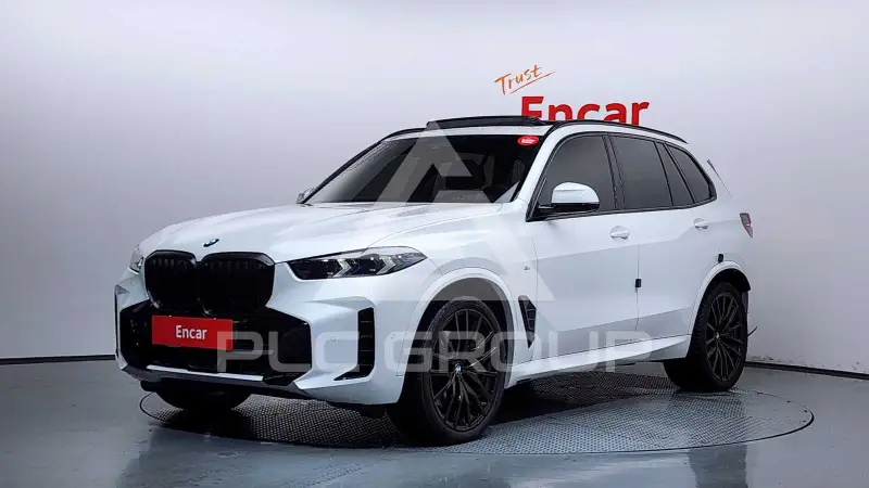 2025 BMW X5M