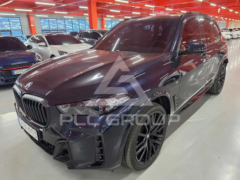 2025 BMW X5M