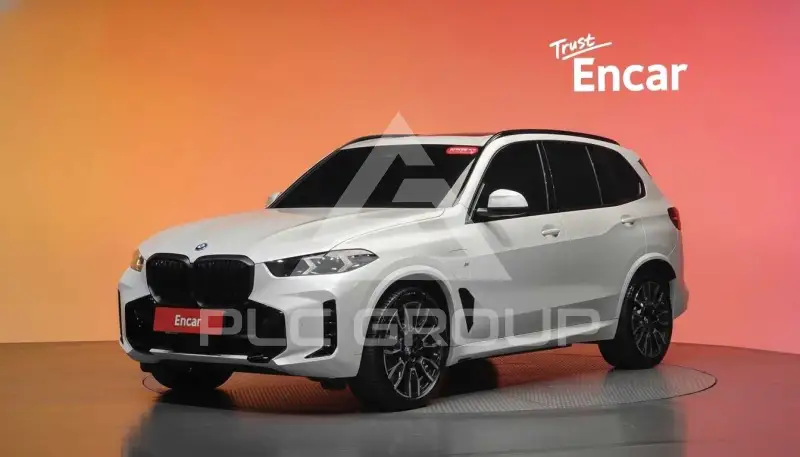 2025 BMW X5M