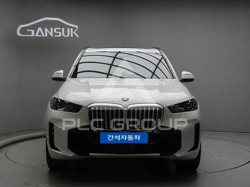 2025 BMW X5M