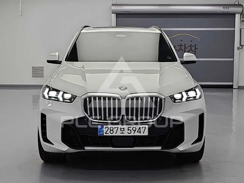 2025 BMW X5M