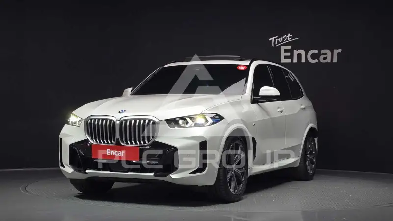 2025 BMW X5M