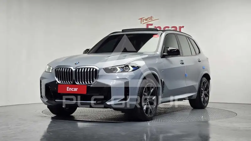 2025 BMW X5M