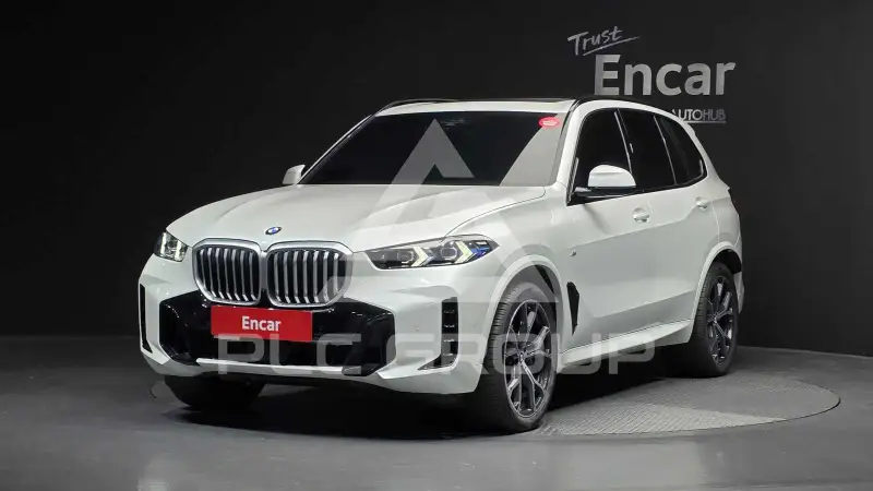 2025 BMW X5M