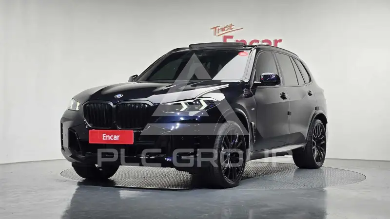 2025 BMW X5M