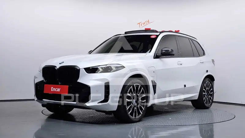2025 BMW X5M