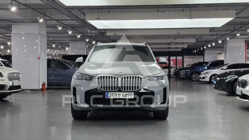 2025 BMW X5M