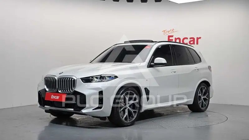 2025 BMW X5M