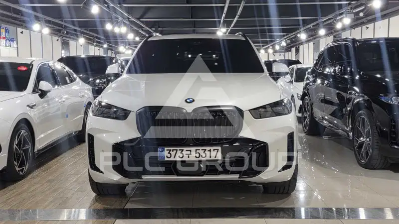 2025 BMW X5M