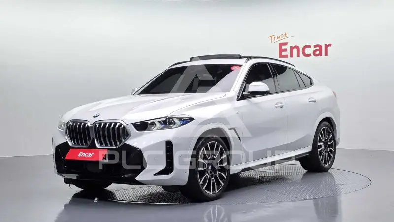 2025 BMW X6M