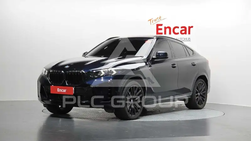 2025 BMW X6