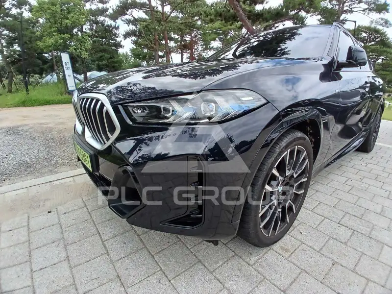 2025 BMW X6M