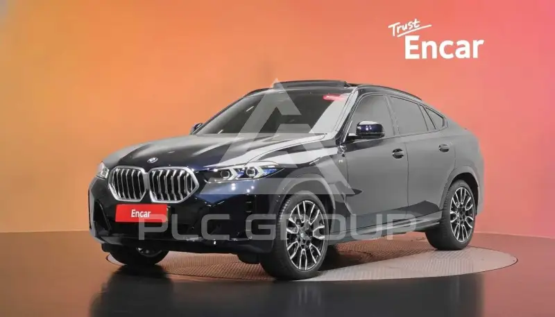2025 BMW X6M