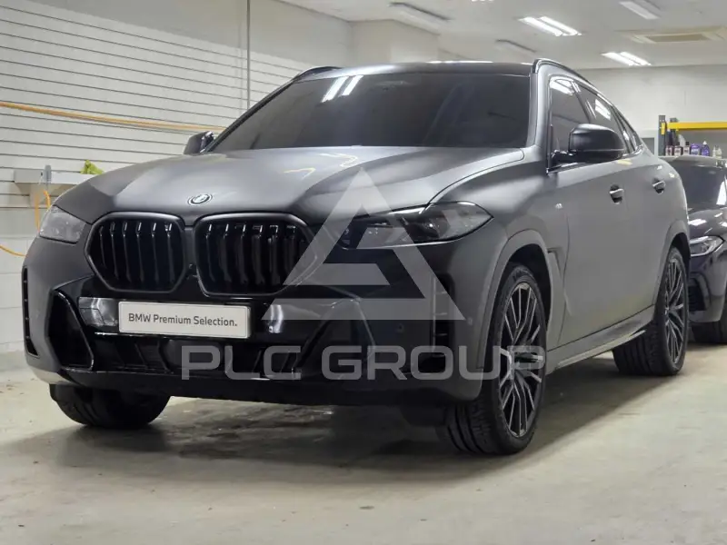 2025 BMW X6