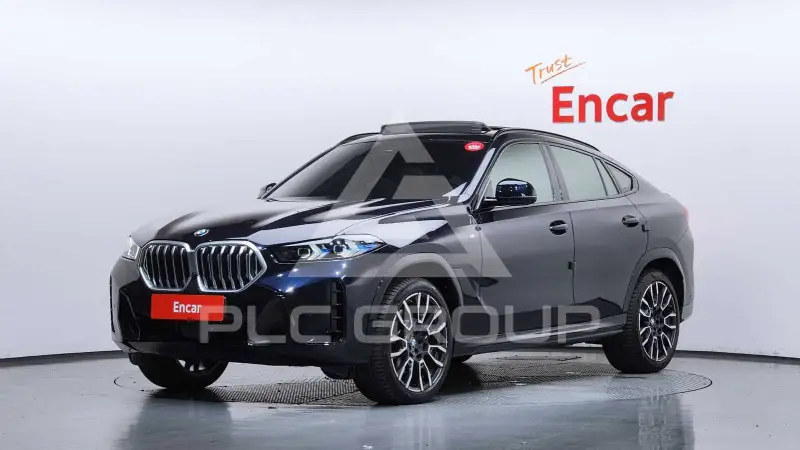 2025 BMW X6