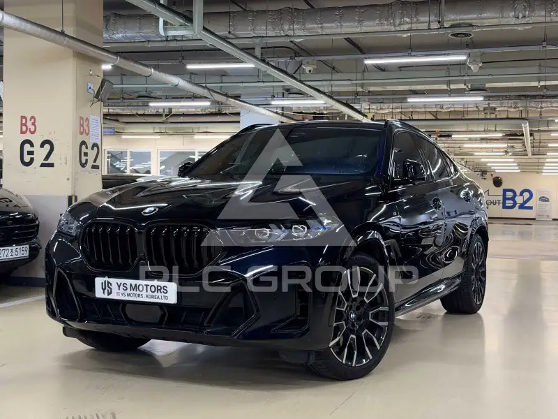 2025 BMW X6