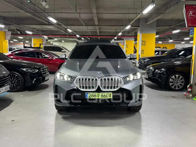 2025 BMW X6M